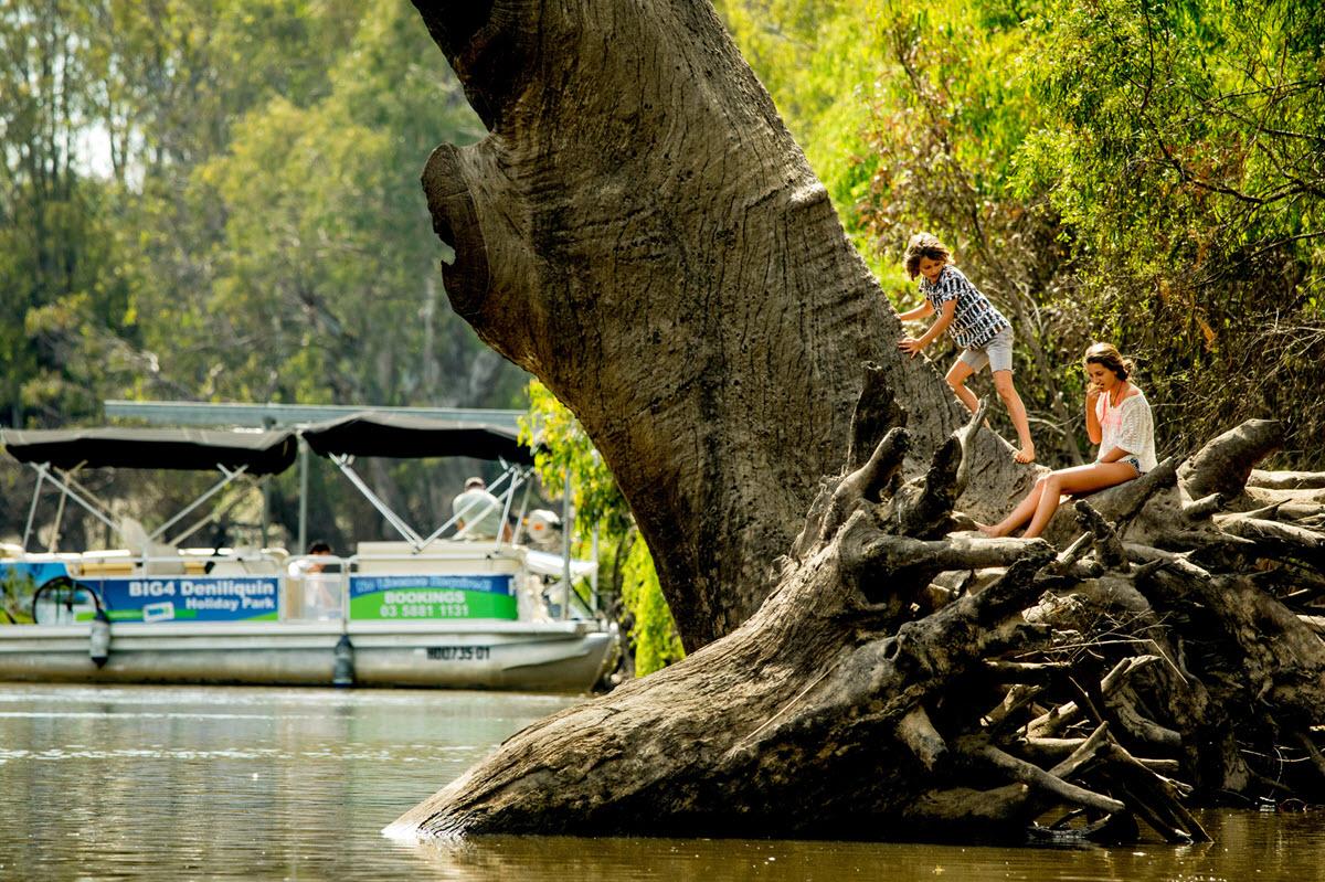Hire a private pontoon boat in Deniliquin >>BIG4 Deniliquin Holiday Park